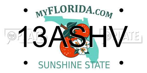 13ASHV Florida License Plate