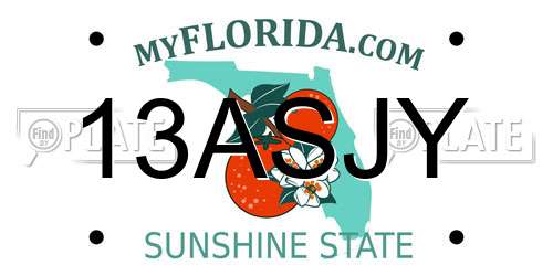 13ASJY Florida License Plate