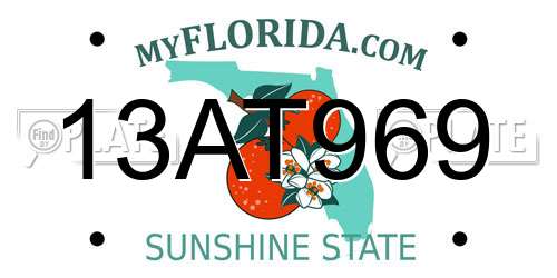 13AT969 Florida License Plate