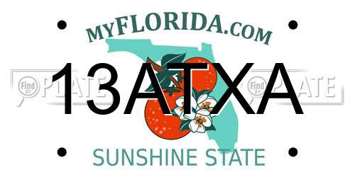 13ATXA Florida License Plate