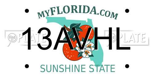 13AVHL Florida License Plate