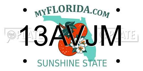 13AVJM Florida License Plate