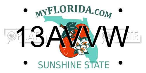 13AVVW Florida License Plate