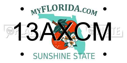 13AXCM Florida License Plate