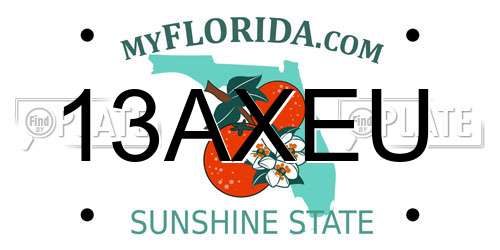 13AXEU Florida License Plate