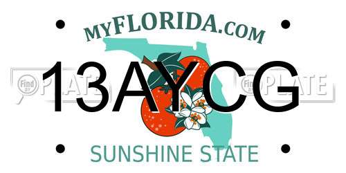13AYCG Florida License Plate
