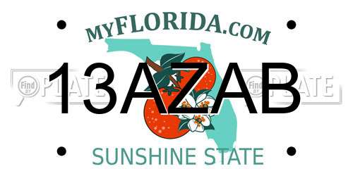 13AZAB Florida License Plate
