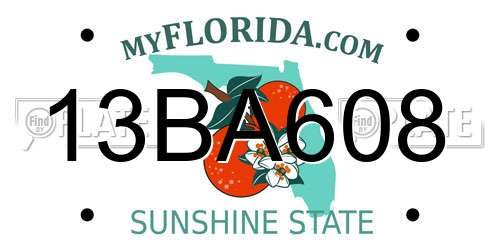 13BA608 Florida License Plate