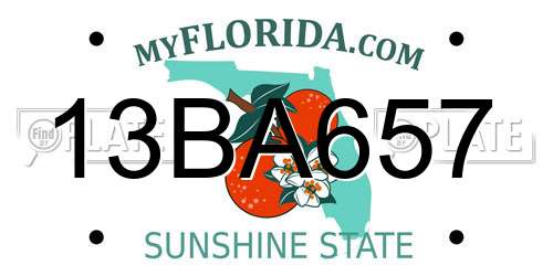13BA657 Florida License Plate