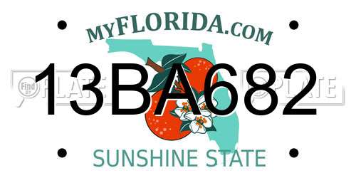 13BA682 Florida License Plate