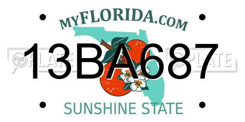13BA687 Florida License Plate