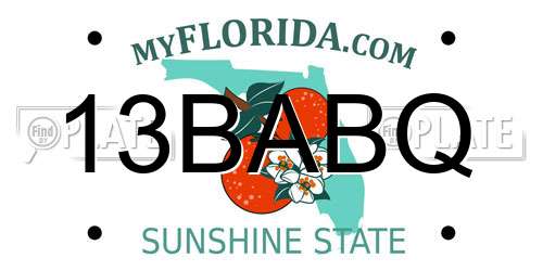 13BABQ Florida License Plate