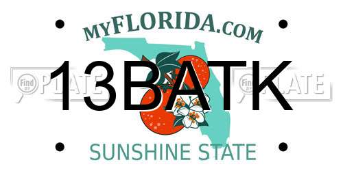 13BATK Florida License Plate
