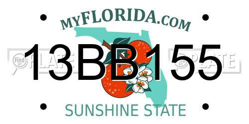 13BB155 Florida License Plate