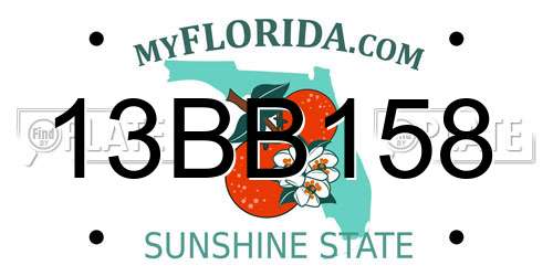 13BB158 Florida License Plate