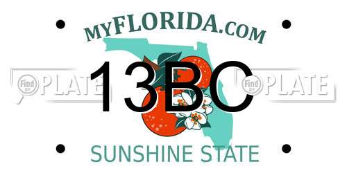 13BC Florida License Plate
