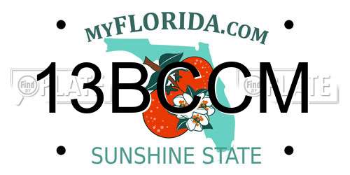 13BCCM Florida License Plate