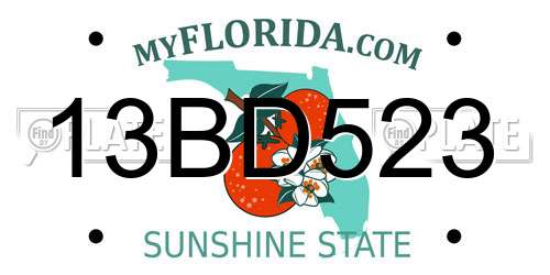 13BD523 Florida License Plate
