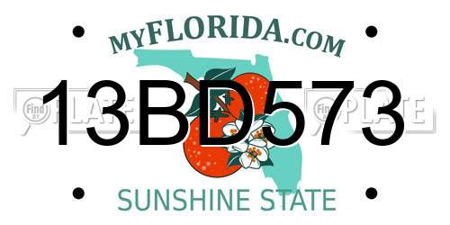 13BD573 Florida License Plate