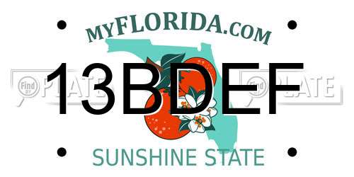 13BDEF Florida License Plate