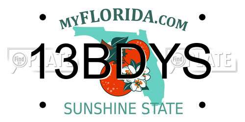 13BDYS Florida License Plate