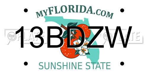 13BDZW Florida License Plate