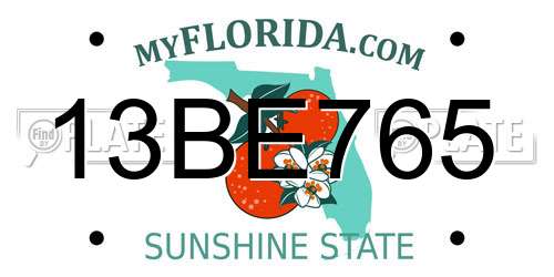 13BE765 Florida License Plate