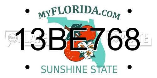 13BE768 Florida License Plate