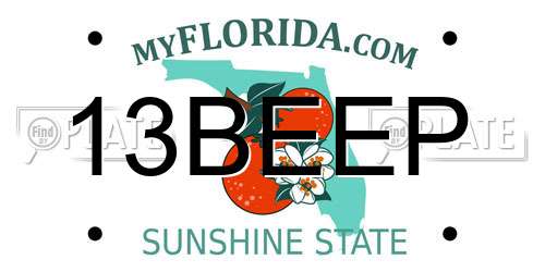 13BEEP Florida License Plate