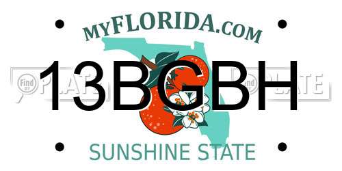 13BGBH Florida License Plate