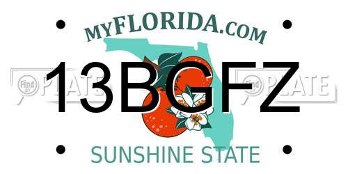 13BGFZ Florida License Plate