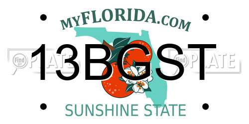 13BGST Florida License Plate