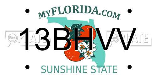 13BHVV Florida License Plate