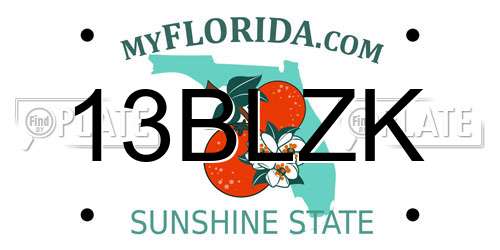 13BLZK Florida License Plate
