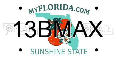 13BMAX Florida License Plate
