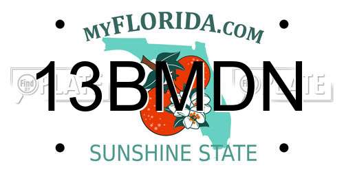 13BMDN Florida License Plate