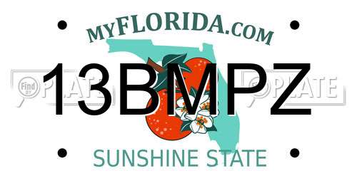 13BMPZ Florida License Plate