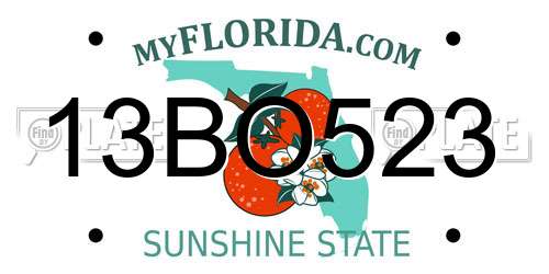 13BO523 Florida License Plate