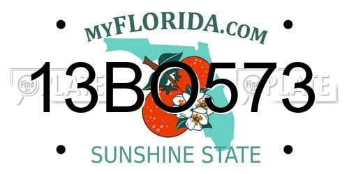 13BO573 Florida License Plate