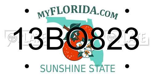 13BO823 Florida License Plate