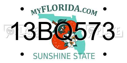 13BQ573 Florida License Plate