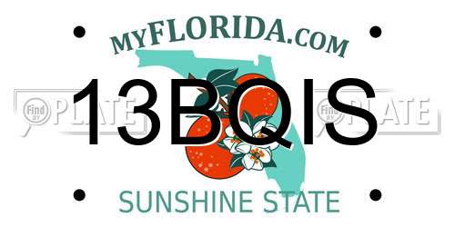 13BQIS Florida License Plate
