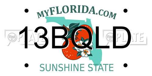 13BQLD Florida License Plate