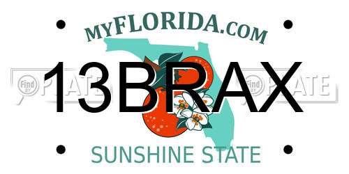 13BRAX Florida License Plate