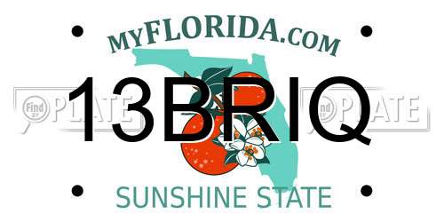 13BRIQ Florida License Plate