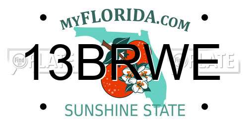 13BRWE Florida License Plate