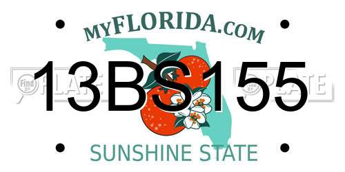 13BS155 Florida License Plate