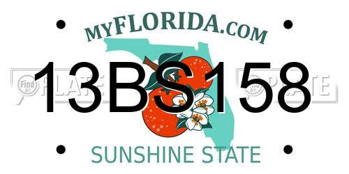 13BS158 Florida License Plate
