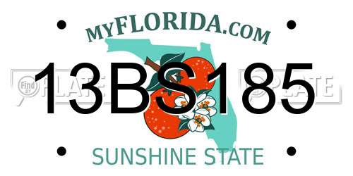 13BS185 Florida License Plate