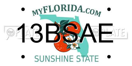 13BSAE Florida License Plate